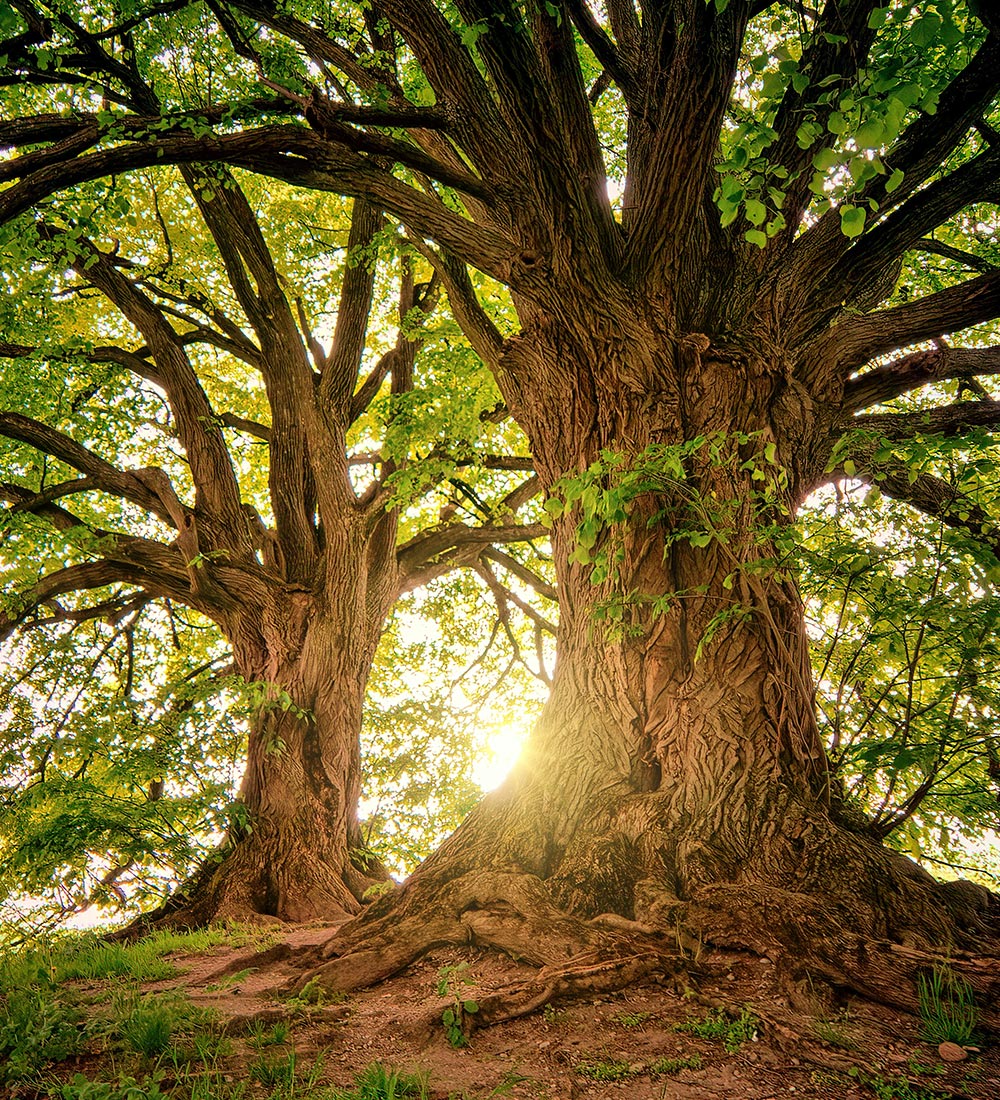 Portfolio_Eintrag_hypno_selbstbewusstsein